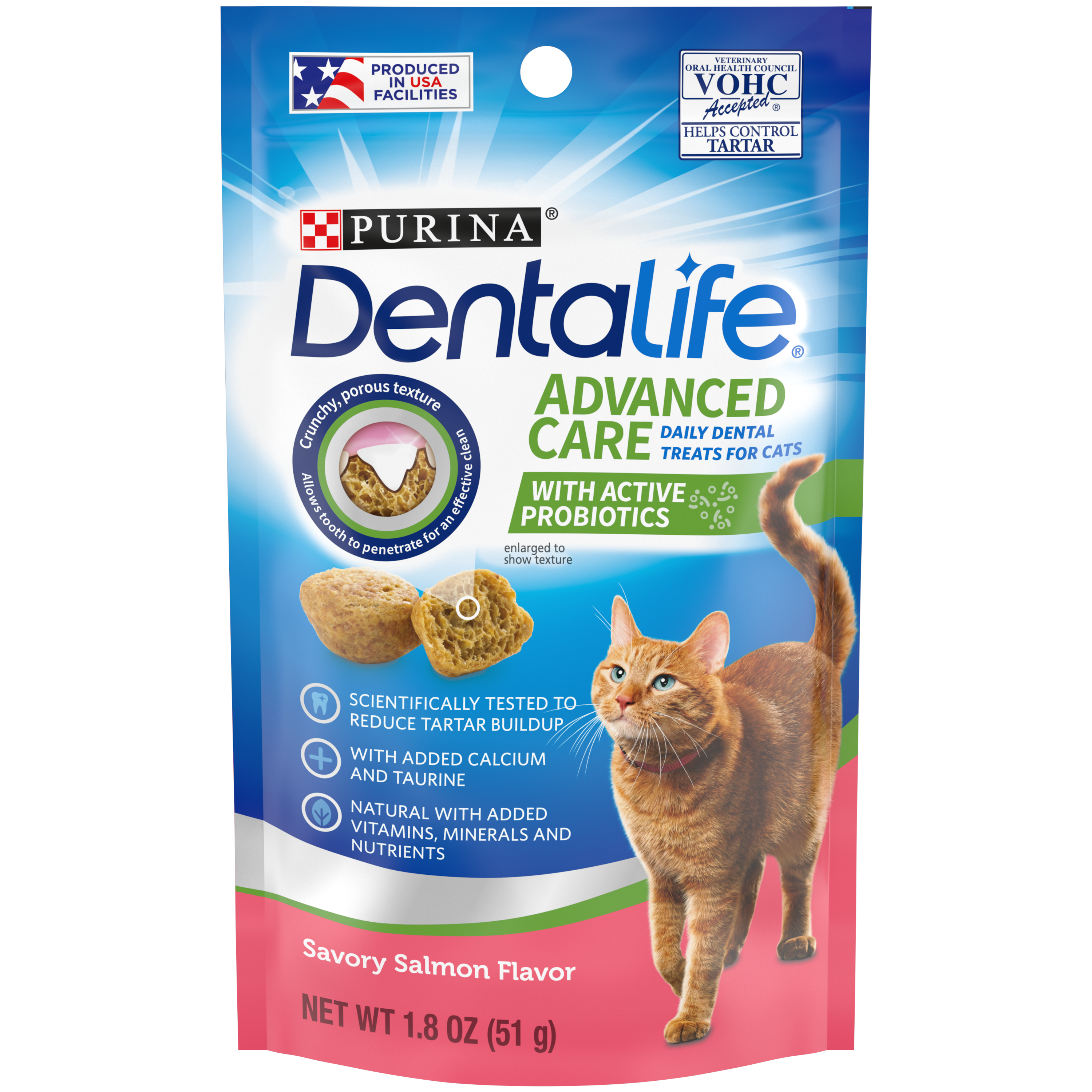 Dental treatment cheap for cats